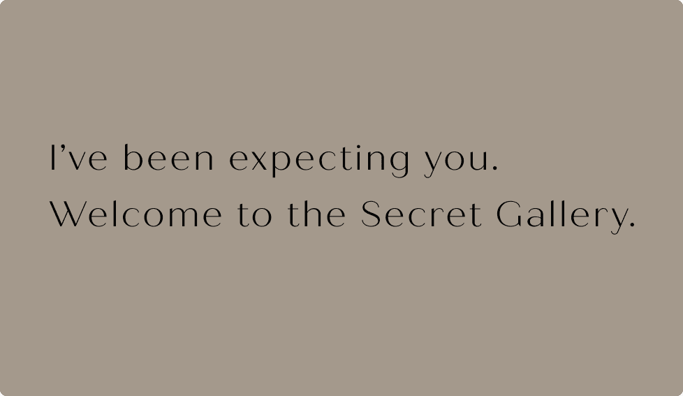 I've been expecting you. Welcome to the Secret Gallery.